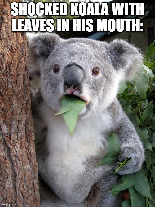 Surprised Koala | SHOCKED KOALA WITH LEAVES IN HIS MOUTH: | image tagged in memes,surprised koala | made w/ Imgflip meme maker