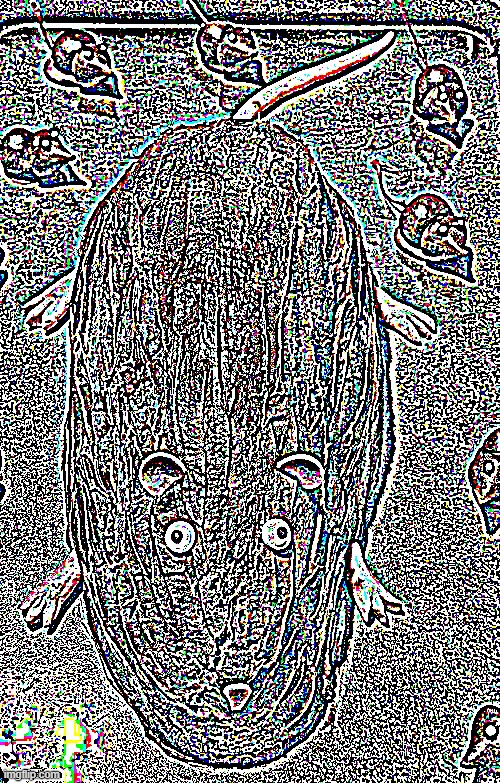chocolate rat | image tagged in chocolate rat | made w/ Imgflip meme maker