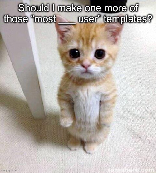 question 2.0 | Should I make one more of those “most ___ user” templates? | image tagged in memes,cute cat | made w/ Imgflip meme maker