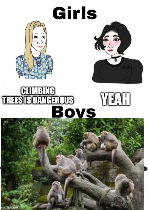 Monke | CLIMBING TREES IS DANGEROUS; YEAH | image tagged in girls vs boys | made w/ Imgflip meme maker