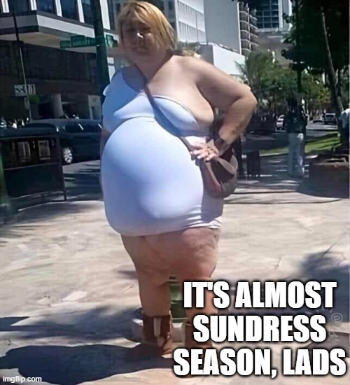 Sundress Season | IT'S ALMOST SUNDRESS SEASON, LADS | image tagged in funny,humor,fat | made w/ Imgflip meme maker