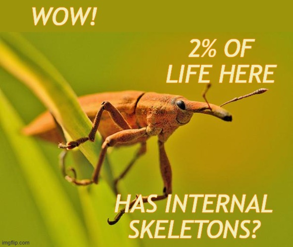 vertebrae: for weirdos, tbh | WOW! 2% OF
LIFE HERE; HAS INTERNAL SKELETONS? | image tagged in happy insect,life,animals | made w/ Imgflip meme maker