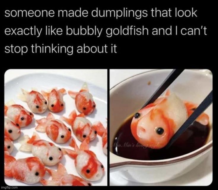 image tagged in memes,funny | made w/ Imgflip meme maker