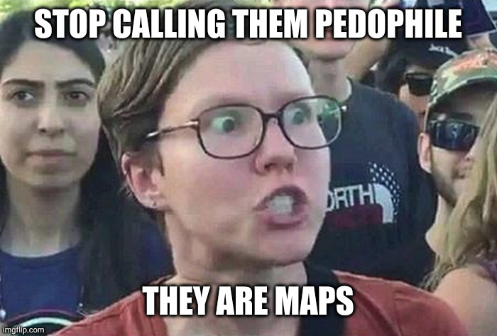 Triggered Liberal | STOP CALLING THEM PEDOPHILE THEY ARE MAPS | image tagged in triggered liberal | made w/ Imgflip meme maker
