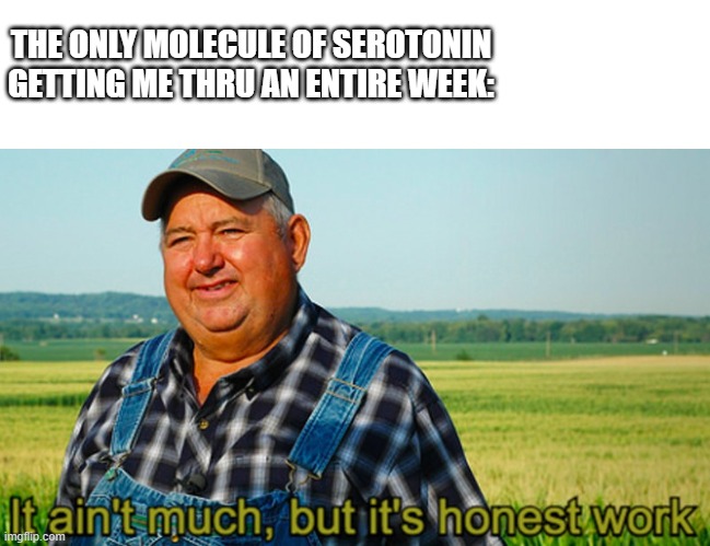 It ain't much, but it's honest work | THE ONLY MOLECULE OF SEROTONIN GETTING ME THRU AN ENTIRE WEEK: | image tagged in it ain't much but it's honest work | made w/ Imgflip meme maker