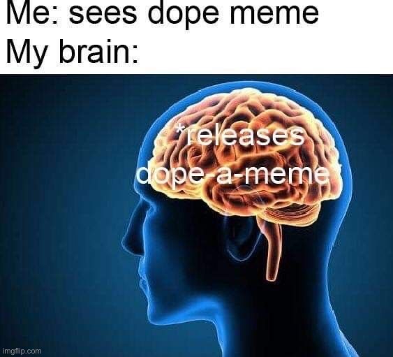 image tagged in memes,funny | made w/ Imgflip meme maker