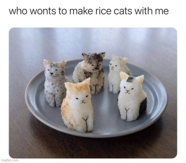 They’re so cute ❤️ | image tagged in memes,funny,cats | made w/ Imgflip meme maker