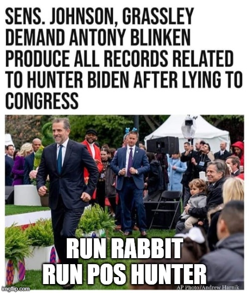 Run Rabbit Run | RUN RABBIT RUN POS HUNTER | image tagged in run rabbit run | made w/ Imgflip meme maker