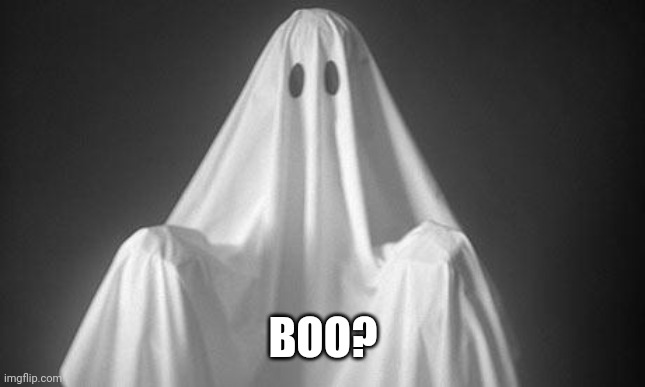 Ghost | BOO? | image tagged in ghost | made w/ Imgflip meme maker