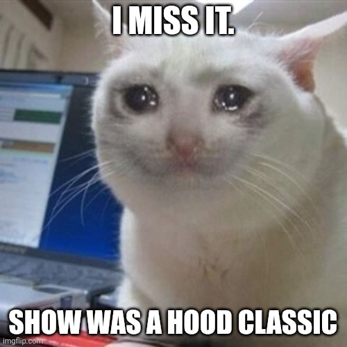 Crying cat | I MISS IT. SHOW WAS A HOOD CLASSIC | image tagged in crying cat | made w/ Imgflip meme maker