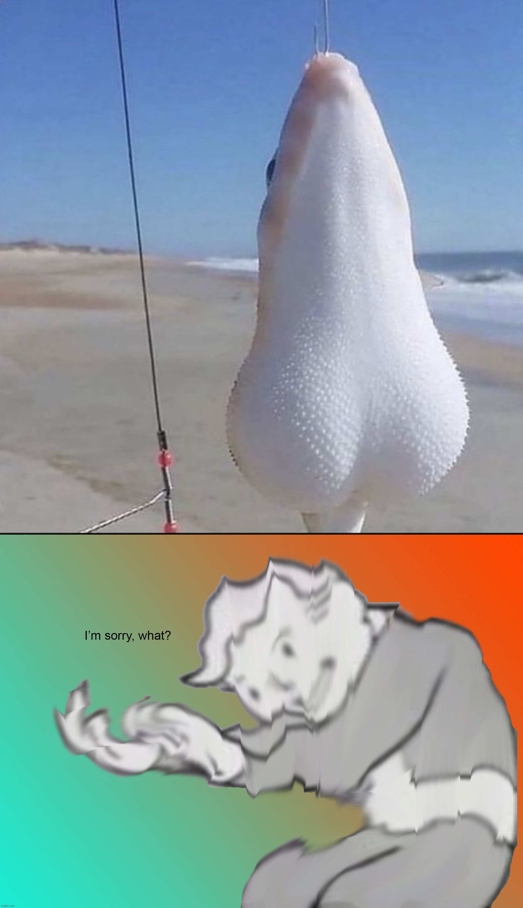 Cursed silly ahhh fish | image tagged in i'm sorry what,memes,funny,cursed image | made w/ Imgflip meme maker