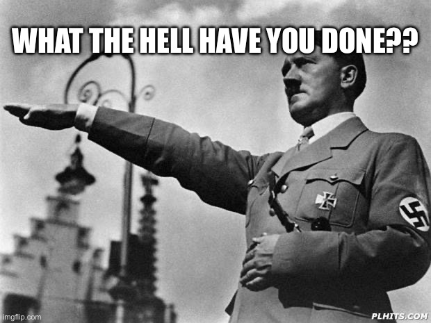 hitler | WHAT THE HELL HAVE YOU DONE?? | image tagged in hitler | made w/ Imgflip meme maker