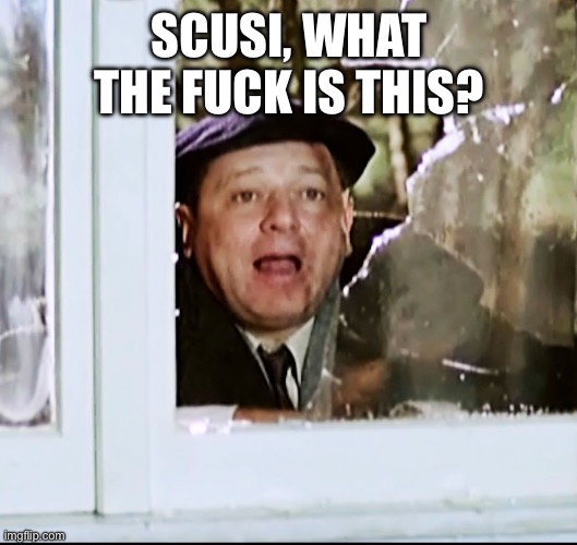 Scusi, chi ha fatto palo? | SCUSI, WHAT THE FUCK IS THIS? | image tagged in scusi chi ha fatto palo | made w/ Imgflip meme maker