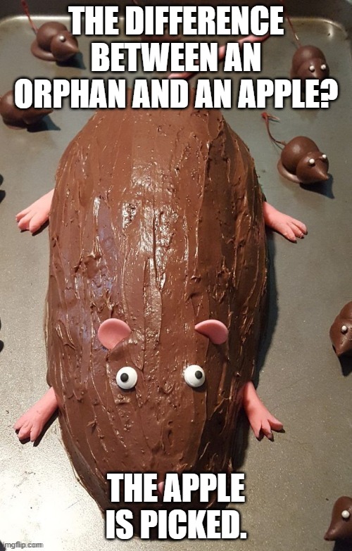chocolate rat | THE DIFFERENCE BETWEEN AN ORPHAN AND AN APPLE? THE APPLE IS PICKED. | image tagged in chocolate rat | made w/ Imgflip meme maker