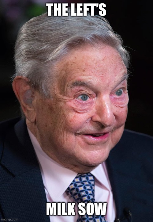 Evil George Soros | THE LEFT’S MILK SOW | image tagged in evil george soros | made w/ Imgflip meme maker