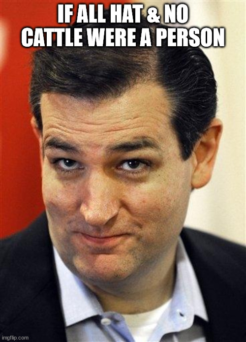 Bashful Ted Cruz | IF ALL HAT & NO CATTLE WERE A PERSON | image tagged in bashful ted cruz | made w/ Imgflip meme maker