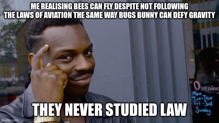 Bees can fly because they don't study law | ME REALISING BEES CAN FLY DESPITE NOT FOLLOWING THE LAWS OF AVIATION THE SAME WAY BUGS BUNNY CAN DEFY GRAVITY; THEY NEVER STUDIED LAW | image tagged in memes,roll safe think about it | made w/ Imgflip meme maker
