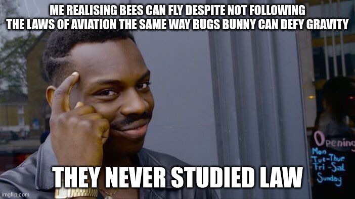 Bees can fly because they didn't study law. Not sure if this qualifies for this stream. | ME REALISING BEES CAN FLY DESPITE NOT FOLLOWING THE LAWS OF AVIATION THE SAME WAY BUGS BUNNY CAN DEFY GRAVITY; THEY NEVER STUDIED LAW | image tagged in memes,roll safe think about it | made w/ Imgflip meme maker