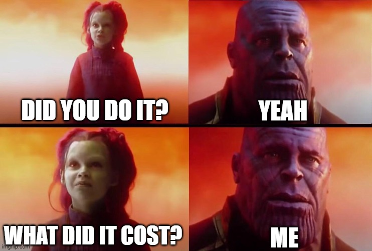 What did it cost? | DID YOU DO IT? YEAH WHAT DID IT COST? ME | image tagged in what did it cost | made w/ Imgflip meme maker