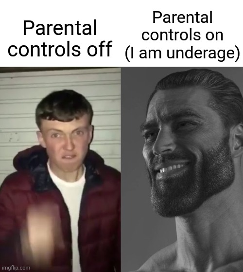 . | Parental controls on (I am underage); Parental controls off | image tagged in average fan vs average enjoyer | made w/ Imgflip meme maker