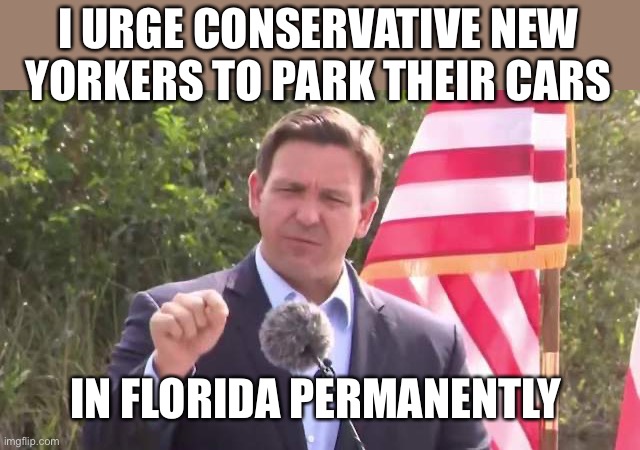 Florida Governor Ron DeSantis | I URGE CONSERVATIVE NEW YORKERS TO PARK THEIR CARS IN FLORIDA PERMANENTLY | image tagged in florida governor ron desantis | made w/ Imgflip meme maker