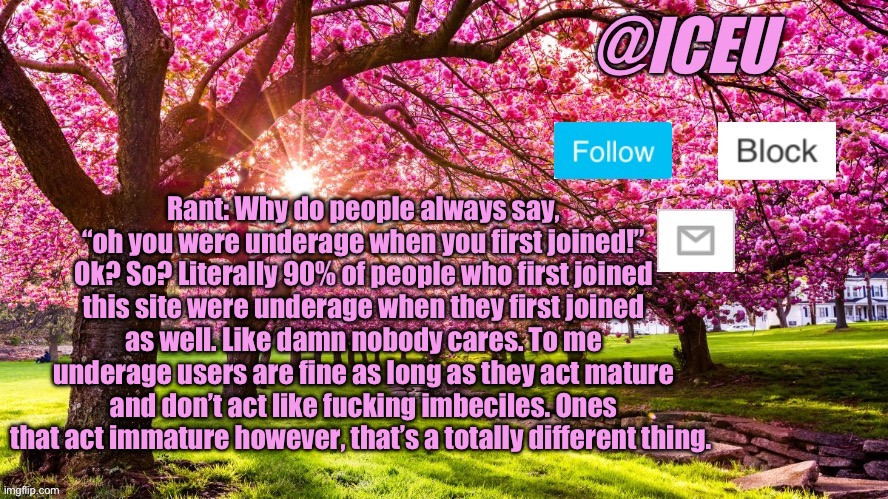 It doesn’t make sense to me, if you’re of age it shouldn’t matter anymore. Especially if you acted mature even before you were o | Rant: Why do people always say, “oh you were underage when you first joined!” Ok? So? Literally 90% of people who first joined this site were underage when they first joined as well. Like damn nobody cares. To me underage users are fine as long as they act mature and don’t act like fucking imbeciles. Ones that act immature however, that’s a totally different thing. | image tagged in iceu spring template | made w/ Imgflip meme maker