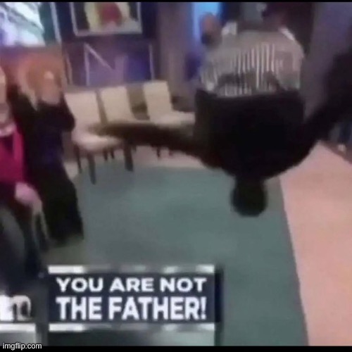 You are not the father! | image tagged in you are not the father | made w/ Imgflip meme maker
