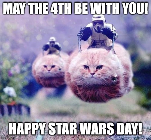 uwu hovercat | MAY THE 4TH BE WITH YOU! HAPPY STAR WARS DAY! | image tagged in cats,star wars,may the 4th,may the force be with you,memes,stormtroopers | made w/ Imgflip meme maker