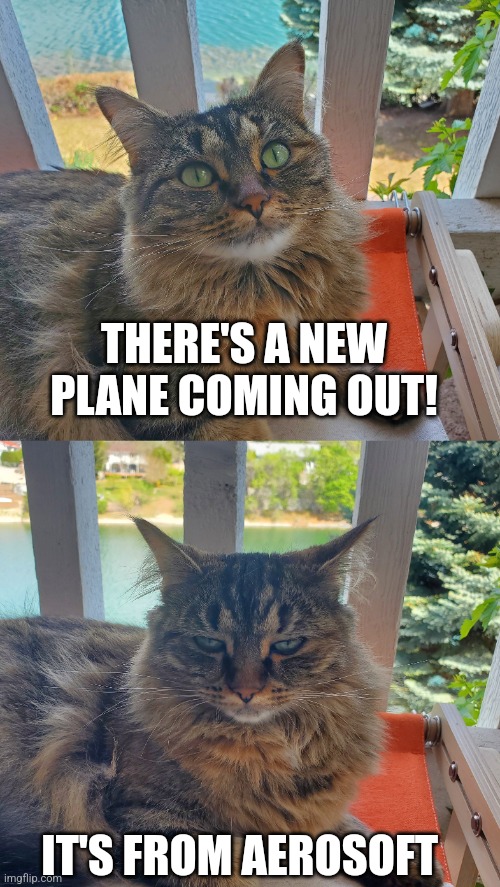 Unimpressed Aurora | THERE'S A NEW PLANE COMING OUT! IT'S FROM AEROSOFT | image tagged in unimpressed | made w/ Imgflip meme maker