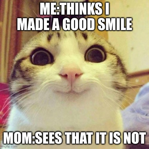 :) | ME:THINKS I MADE A GOOD SMILE; MOM:SEES THAT IT IS NOT | image tagged in memes,smiling cat | made w/ Imgflip meme maker