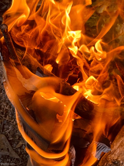 I put my phone dangerously close to a fire and snapped this cool shot (Owner favorite : S.T.R.I.K.E.) | image tagged in photography,photos,fire | made w/ Imgflip meme maker