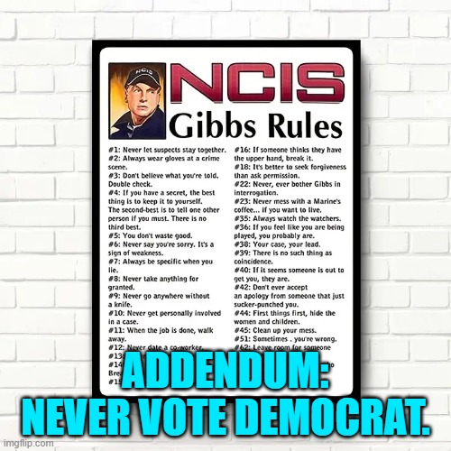 Yep. | ADDENDUM: NEVER VOTE DEMOCRAT. | image tagged in truth | made w/ Imgflip meme maker