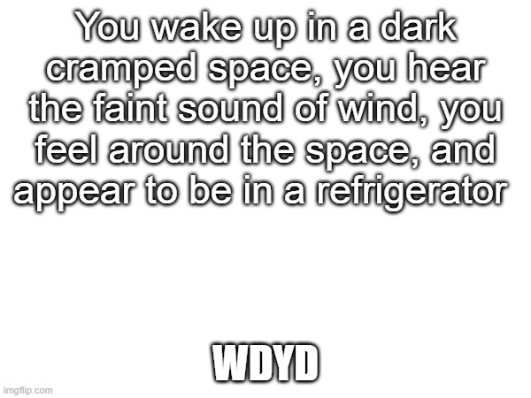 Remaster of an old roleplay | You wake up in a dark cramped space, you hear the faint sound of wind, you feel around the space, and appear to be in a refrigerator; WDYD | made w/ Imgflip meme maker