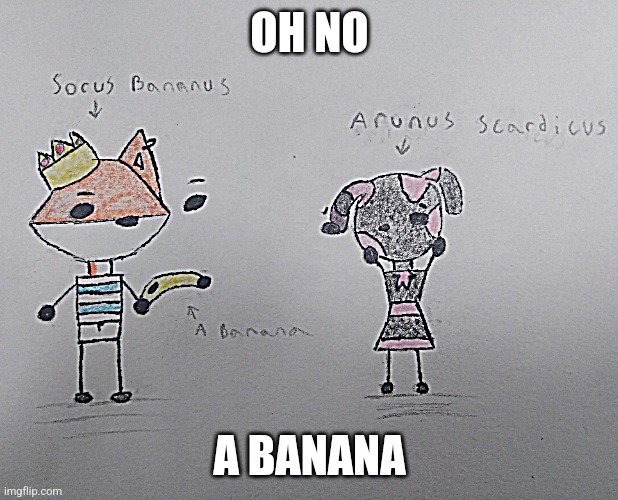 Sorel with a banana | OH NO; A BANANA | made w/ Imgflip meme maker