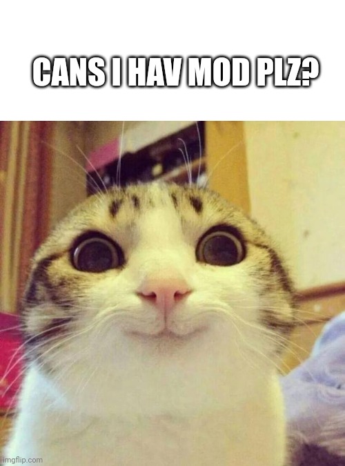 Please ? | CANS I HAV MOD PLZ? | image tagged in memes,smiling cat | made w/ Imgflip meme maker