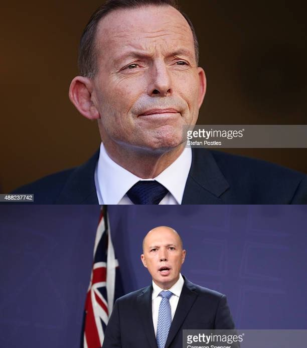 High Quality Liberal Party Blank Meme Template