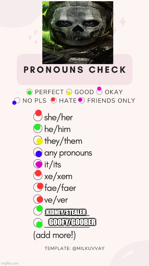 pronoun check | KIDNEY/STEALER; GOOFY/GOOBER | image tagged in pronoun check | made w/ Imgflip meme maker