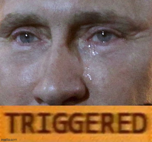 Poor Vladdy boi. he can't stand criticism. SAD. | image tagged in putin triggered | made w/ Imgflip meme maker
