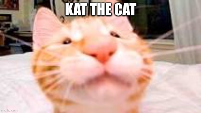 crack cat kat | KAT THE CAT | image tagged in memes,cats | made w/ Imgflip meme maker