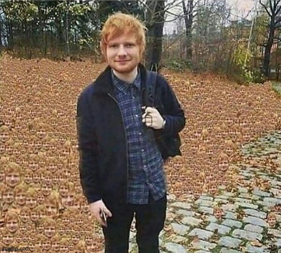 special eds sheer an | made w/ Imgflip meme maker
