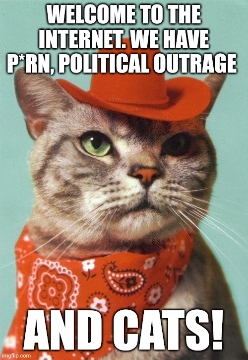 Cowboy Cat | WELCOME TO THE INTERNET. WE HAVE P*RN, POLITICAL OUTRAGE; AND CATS! | image tagged in cowboy cat | made w/ Imgflip meme maker
