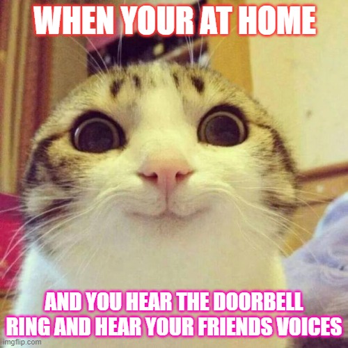 this makes me hyped when i'm bored | WHEN YOUR AT HOME; AND YOU HEAR THE DOORBELL RING AND HEAR YOUR FRIENDS VOICES | image tagged in memes,smiling cat | made w/ Imgflip meme maker