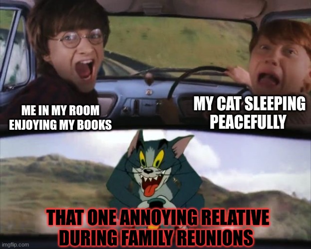 Relatable | MY CAT SLEEPING PEACEFULLY; ME IN MY ROOM ENJOYING MY BOOKS; THAT ONE ANNOYING RELATIVE DURING FAMILY REUNIONS | image tagged in tom chasing harry and ron weasly,family | made w/ Imgflip meme maker