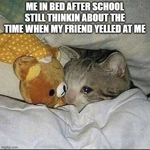 in bed after school be like | ME IN BED AFTER SCHOOL STILL THINKIN ABOUT THE TIME WHEN MY FRIEND YELLED AT ME | image tagged in crying cat in bed,memes | made w/ Imgflip meme maker