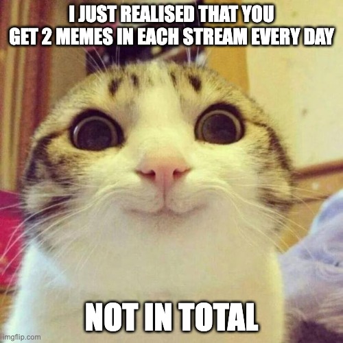 OMG | I JUST REALISED THAT YOU GET 2 MEMES IN EACH STREAM EVERY DAY; NOT IN TOTAL | image tagged in memes,smiling cat | made w/ Imgflip meme maker