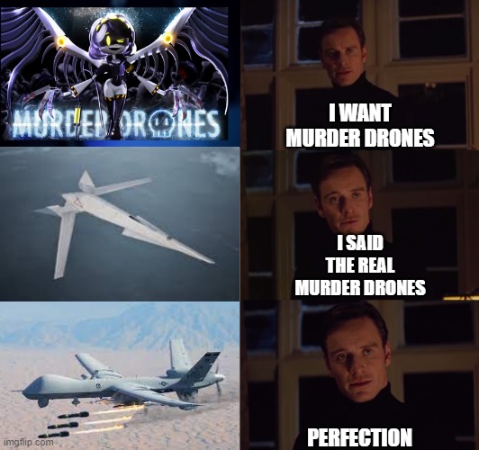 I want the real Murder Drones | I WANT MURDER DRONES; I SAID THE REAL MURDER DRONES; PERFECTION | image tagged in perfection,murder drones,military | made w/ Imgflip meme maker