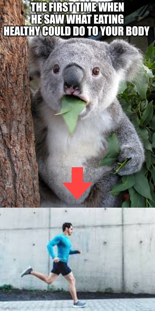 THE FIRST TIME WHEN HE SAW WHAT EATING HEALTHY COULD DO TO YOUR BODY | image tagged in memes,surprised koala | made w/ Imgflip meme maker