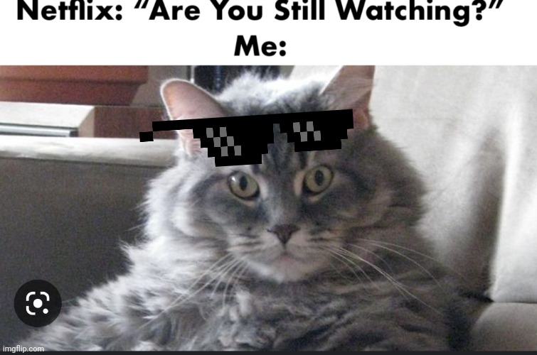 Yes I'm still watching what do see of me?! | image tagged in sunglasses | made w/ Imgflip meme maker