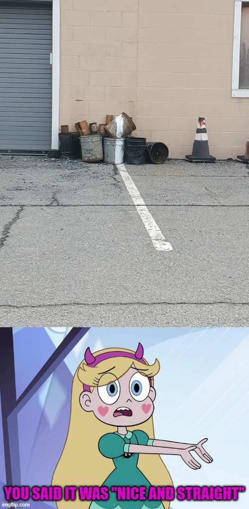 Nice and straight | YOU SAID IT WAS "NICE AND STRAIGHT" | image tagged in star butterfly 'what your people think',you had one job,star vs the forces of evil,memes | made w/ Imgflip meme maker