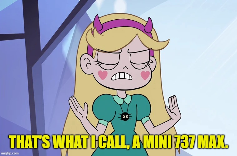 Star Butterfly 'okay, fine' | THAT'S WHAT I CALL, A MINI 737 MAX. | image tagged in star butterfly 'okay fine' | made w/ Imgflip meme maker
